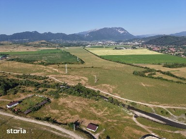 TEREN CU AMPLASAMENT RAR - DIRECT PE MALUL RÂULUI TURCU, ZĂRNEȘTI