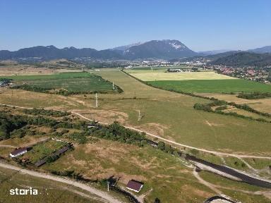 TEREN CU AMPLASAMENT RAR - DIRECT PE MALUL RÂULUI TURCU, ZĂRNEȘTI