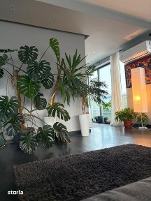 Penthouse de inchiriat in Borhanci