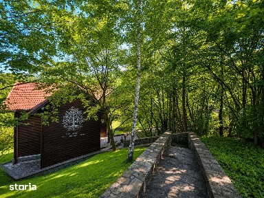 Mountain Chalet | Private Resort | Investment - Nistoresti