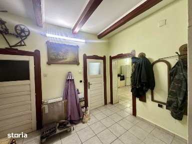 Proprietate mixta de vanzare - locuinta + hala - Tasnad, SM