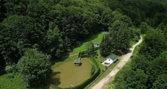 De vanzare cabana de vis la munte-proprietate exclusiva complet echipata, in mijlocul naturii
