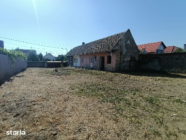 Casa 3 Camere, Aradul Nou, Teren 1.548 mp