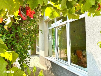Vila de vanzare Valea Lupului