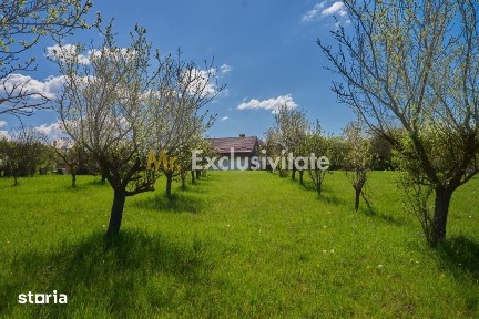 Valea Mare Pravat, Arges