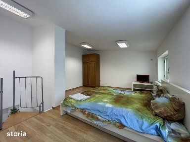 Casa P+1 cocheta si perfect functionala