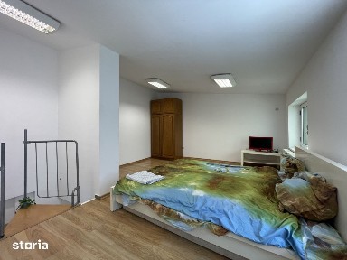 Casa P+1 cocheta si perfect functionala
