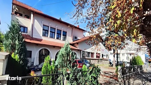 Sp. comercial ultracentral, Campina, Parc central Milia, Bdul Carol I