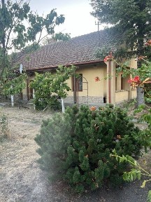 Vand Casa in Moftinu Mic Jud. Satu Mare