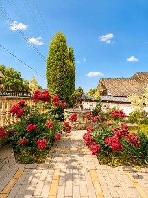 Proprietate 2.714 mp în Luminiș, Neamț - casă 258 mp + anexe + spațiu comercial, ideală locuire/investiție