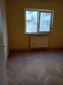 Timis, Timisoara