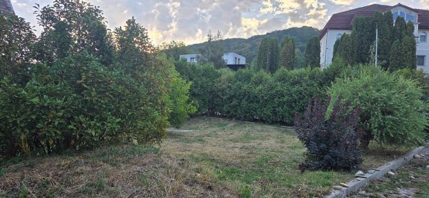 Bistrita-Nasaud, Bistrita