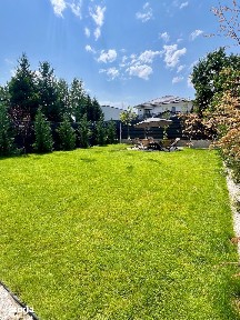 Paradisul Verde - Corbeanca