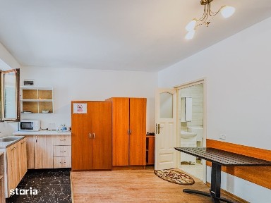 Apartament modern cu 1 camera zona centrala|Motilor