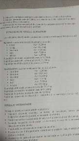 Casă de vânzare sau schimb cu apartament in Orăștie,Deva.+/-diferență