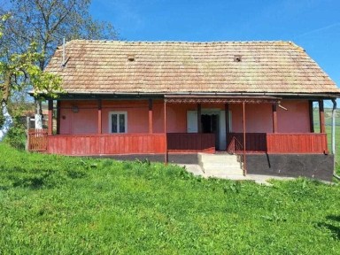 Vând sau schimb cu garsoniera casă în Ceanu Mare (Valea lui Cati)