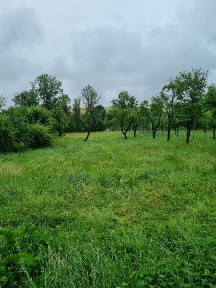 Cluj, Calatele
