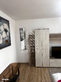 Apartament 1 camera de inchiriat, Parcare, Renovat, Lipova, Timis