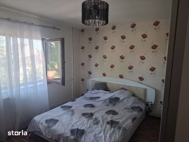 Cetate, Timisoara, Timis