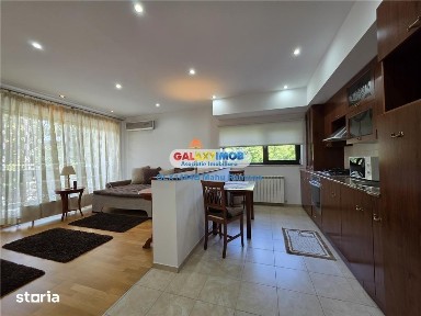 Apartament 2 camere Baneasa, Petrom City, Nuferilor