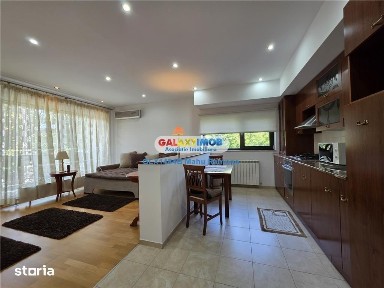 Apartament 2 camere Baneasa, Petrom City, Nuferilor