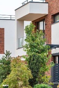Vila tip 4 Marina Snagov