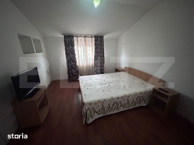 Spatii cazare, 10 camere cazare muncitori, 300 mp, cartier Romanesti