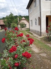 Casă de vânzare la drumul principal cu teren inclus - posibilitate investiție