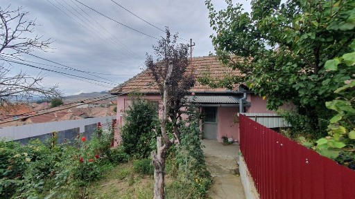 Alba, Blaj