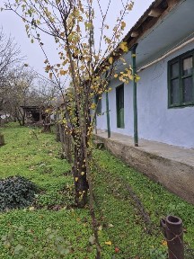 Casa de vânzare Hamcearca