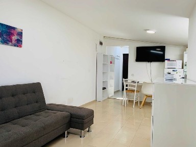 apartament cu 1 camera, central, ingrijit, modern, direct proprietar