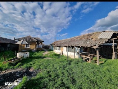 Vand casa la tara