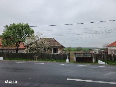 Casa + teren Rogova 7000mp