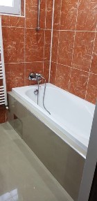 Timis, Timisoara