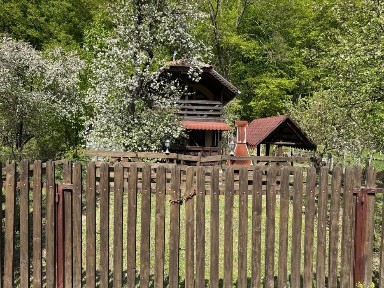 CABANĂ DE VACANȚĂ - in Padurea Neagra