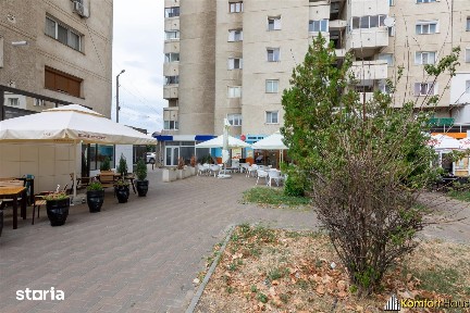 G. Bacovia, Bacau