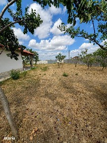 Casa renovata anul trecut cu 1100 mp de teren in localitatea Les