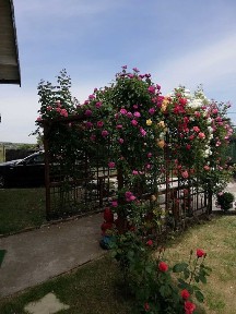 Urgent.Proprietar, parter la casa cu etaj, Mogosesti - Iasi, 10 km