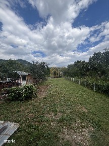 Valea Borcutului, Baia Mare, Maramures