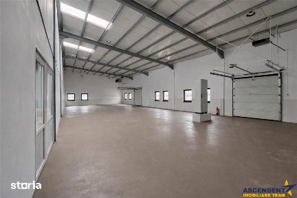 Hala productie premium, domeniu de 4.700 mp teren,Solovastru, Mures