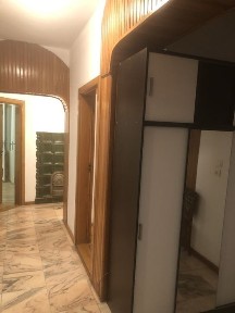Timis, Timisoara