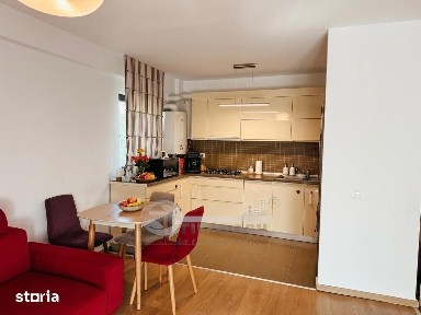 Apartament 3 camere +terasa +boxa, Pacurari Colina Insorita