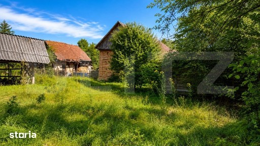 Miercurea Nirajului, Mures