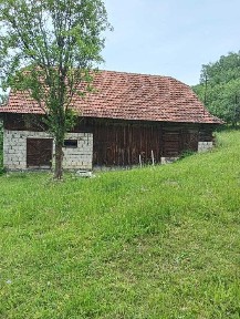 Cluj, Tranisu