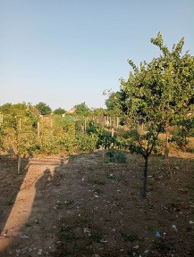 casa de vanzare Checea.