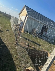 Vand teren cu Casa individuala inceputa Giroc
