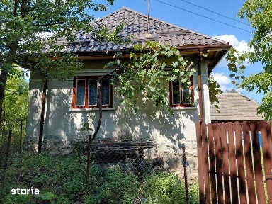 Vand casa de vacanta