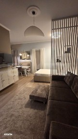 Studio de inchiriat, 40 mp, gradina privata si parcare, zona Europa