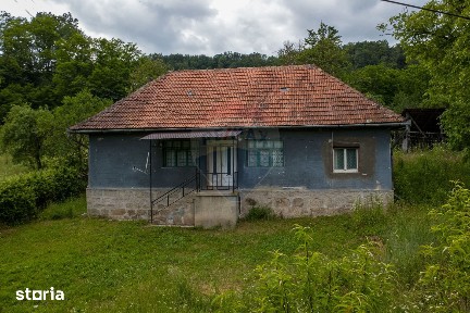 Casă de vanzare in Crisan, com Ribita, jud Hunedoara