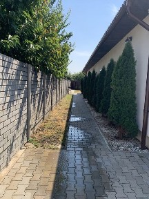 Proprietar - duplex parter, Ion Creanga